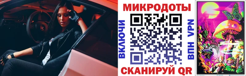 Псилоцибиновые грибы Cubensis  где найти   Златоуст 