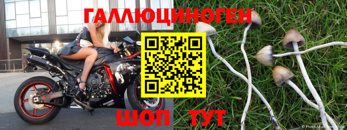 Златоуст  как найти закладки  Вход с VPN  Псилоцибиновые грибы MAGIC MUSHROOMS 